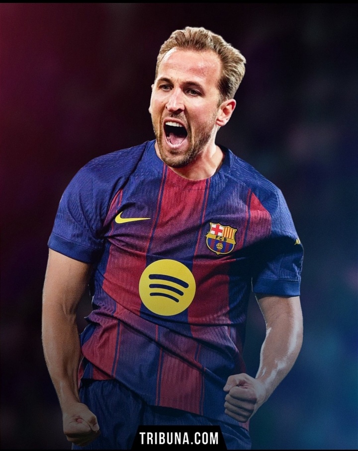 PG模拟器在线-接班莱万！西媒：巴萨目标明年引进凯恩，价格或低于5000万欧