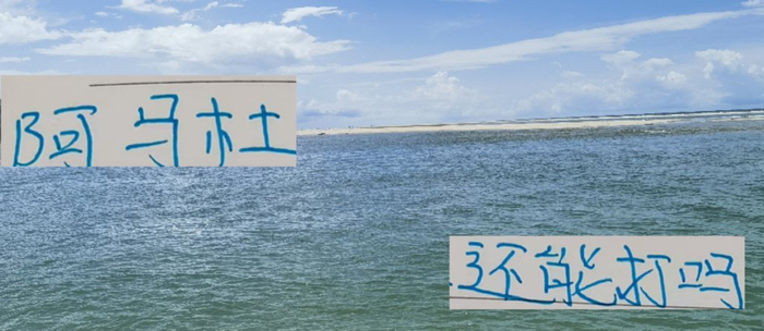 申花这么贵的医疗团队 没想到是中超前4伤病最重 阿马杜还能打吗